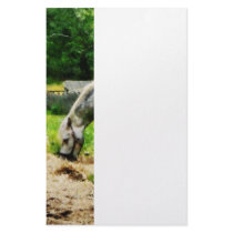 Appaloosa Eating Hay Customized Stationery