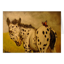 Appaloosa Foal & Butterfly Cards