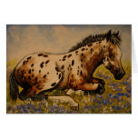 Appaloosa foal greeting card