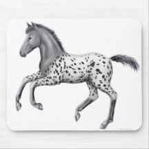Appaloosa Foal Mousepad