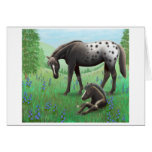 Appaloosa Horse and Foal Card