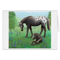 Appaloosa Horse and Foal Card