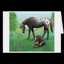 Appaloosa Horse and Foal Card