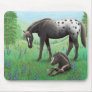 Appaloosa Horse and Foal ...