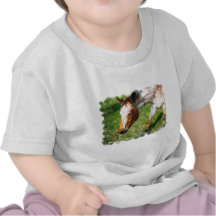 Appaloosa Horse Baby T-Shirt