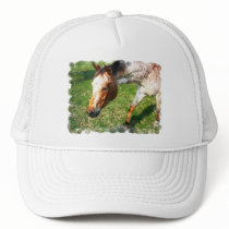 Appaloosa Horse Baseball Hat