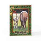 Appaloosa Horse Blank Christmas Card