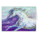 Appaloosa Horse Card