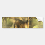 Appaloosa Horse Collage Bumper Stickers