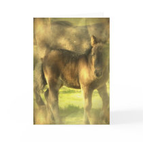 Appaloosa Horse Collage Greeting Card
