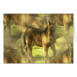 Appaloosa Horse Collage Greeting Card