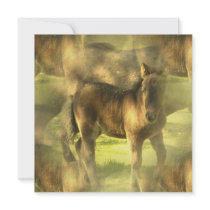 Appaloosa Horse Collage Invitation