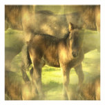Appaloosa Horse Collage Invitation