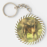 Appaloosa Horse Collage Keychain
