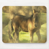 Appaloosa Horse Collage Mouse Pad