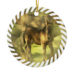 Appaloosa Horse Collage Ornament