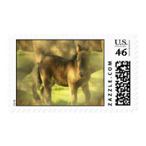 Appaloosa Horse Collage Postal Stamp