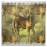 Appaloosa Horse Collage Set of Four Napkins