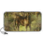 Appaloosa Horse Collage Speakers