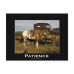 Appaloosa Horse Equine Motivational Art Card Postcard