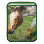 Appaloosa Horse iPad Sleeve