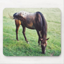Appaloosa Horse Mousepad