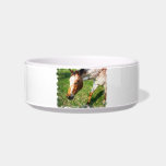 Appaloosa Horse Pet Bowl Cat Food Bowls