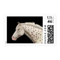 Appaloosa Horse Postage postage by twopurringcats Appaloosa Horse Postage postage