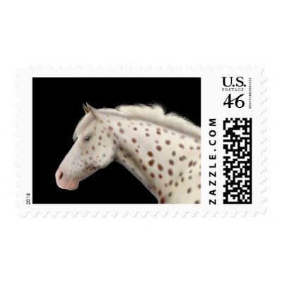 Appaloosa Horse Postage by twopurringcats