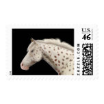 Appaloosa Horse Postage postage
