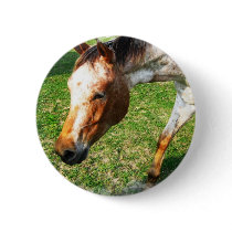 Appaloosa Horse Round Button