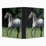 Appaloosa Horse Running 2 3 Ring Binder