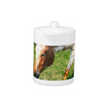 Appaloosa Horse Teapot