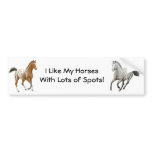 Appaloosa Horses Bumper Sticker
