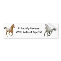 Appaloosa Horses Bumper Sticker