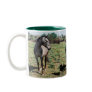 Appaloosa horses mug