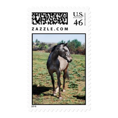 Appaloosa horses postage stamp by laureenr