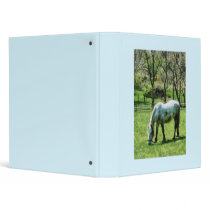 Appaloosa in Pasture Vinyl Binder