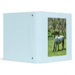 Appaloosa in Pasture Vinyl Binder
