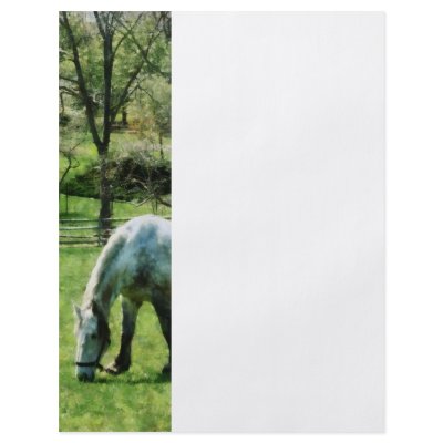 Appaloosa in Pasture Flyers by SusanSavad