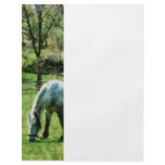 Appaloosa in Pasture Flyers