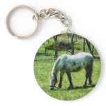 Appaloosa in Pasture Keychains