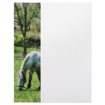 Appaloosa in Pasture Letterhead Design by SusanSavad