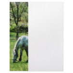 Appaloosa in Pasture Letterhead Design