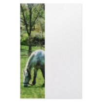 Appaloosa in Pasture Personalized Stationery
