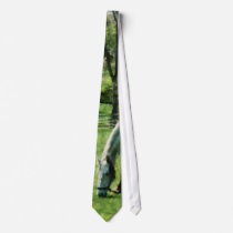 Appaloosa in Pasture Tie