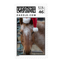 Appaloosa in Red Santa Hat Stamps