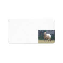 Appaloosa Personalized Address Label