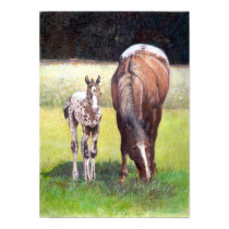 Appaloosa Mare and Foal Portrait posters by OldeTimeMercantile Appaloosa Mare and Foal Portrait posters