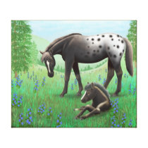 Appaloosa Mare and Foal Wrapped Canvas